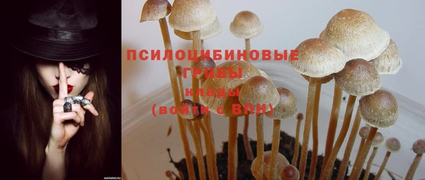 а пвп мука Абдулино