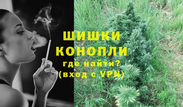 стаф Ростов