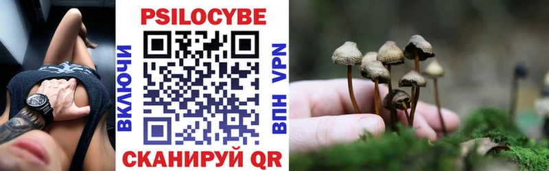 кракен вход  Исилькуль  Псилоцибиновые грибы ЛСД 